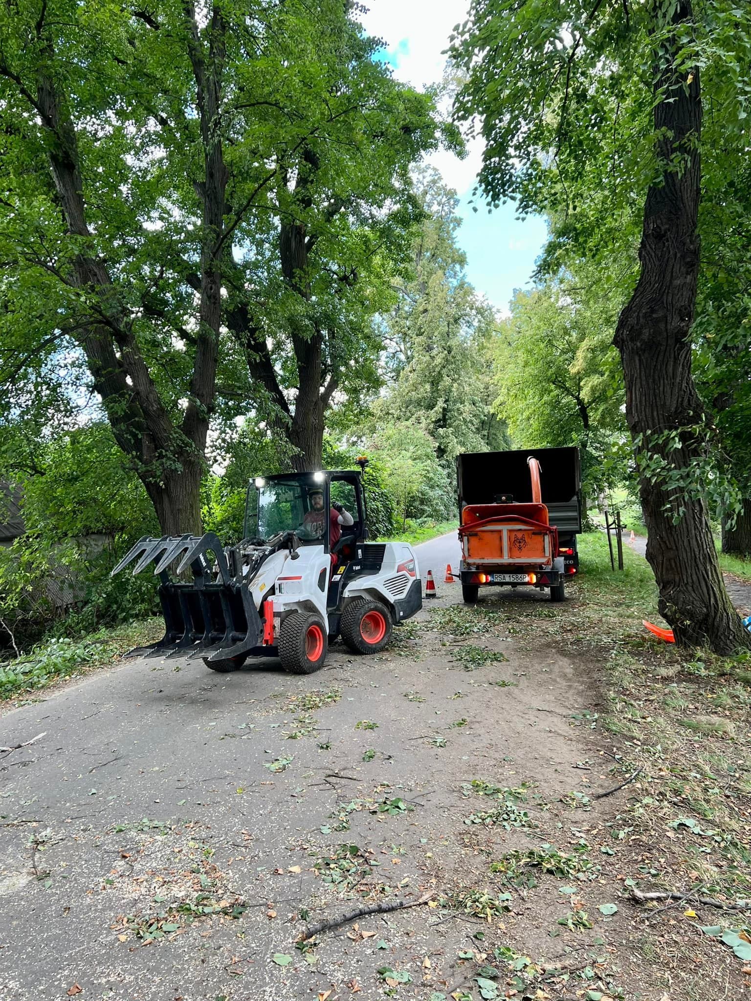 Ładowarka i rębak Arbo-Bob w alei drzew podczas wycinki