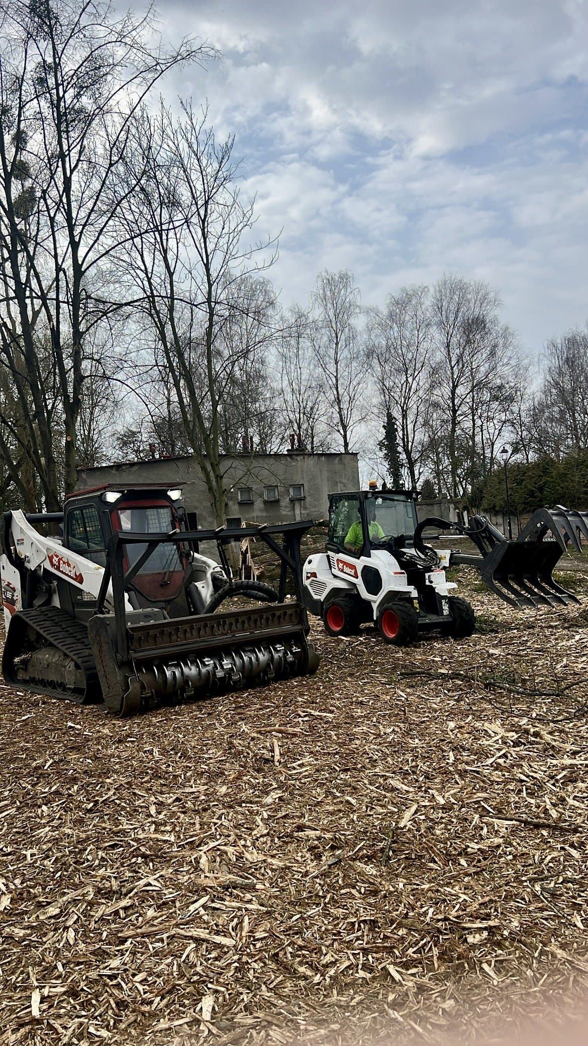 Teren po mulczowaniu: mulczer leśny na gąsienicach i rozdrobniona zrębka
